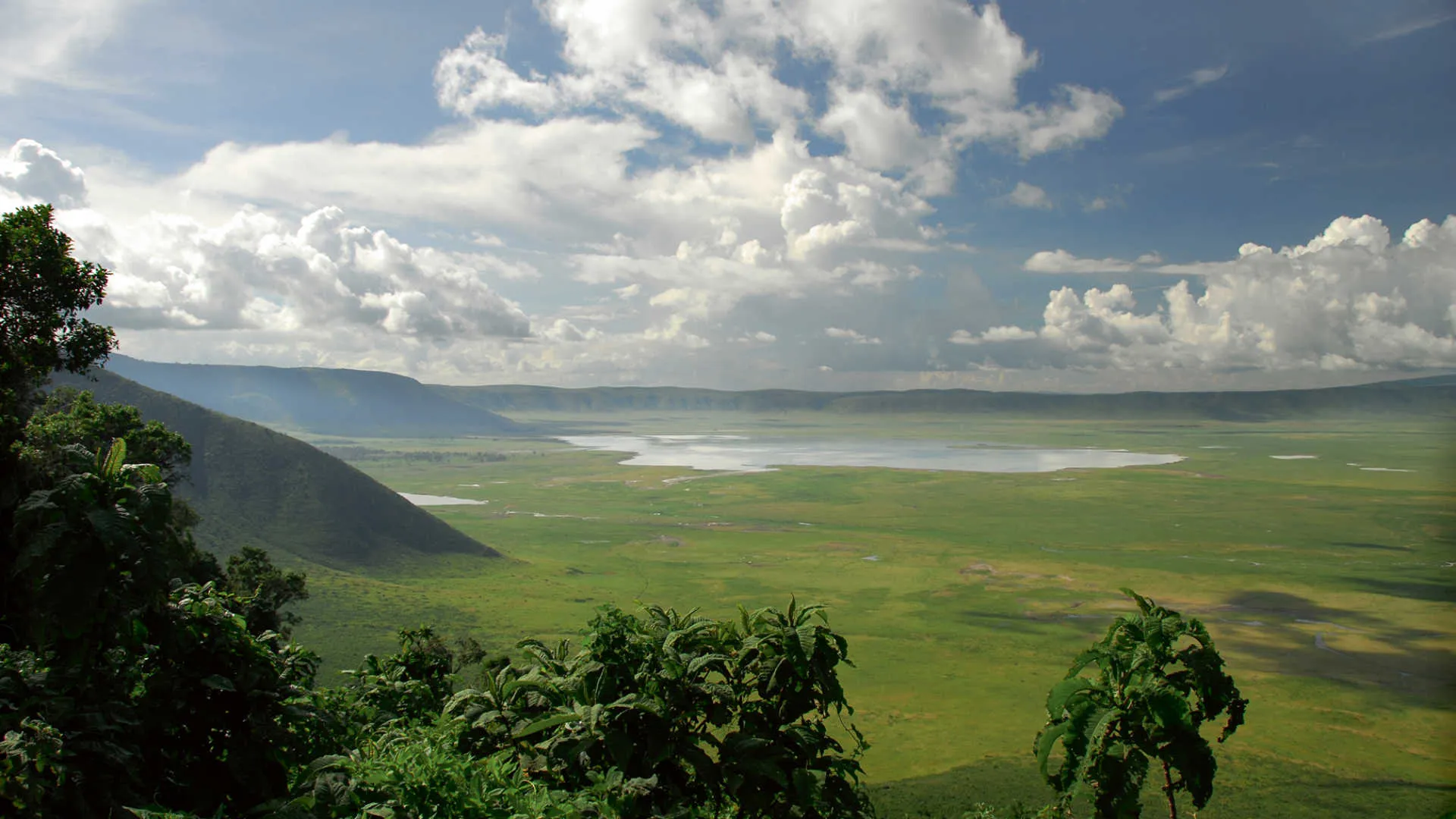 Ngorongoro Crater