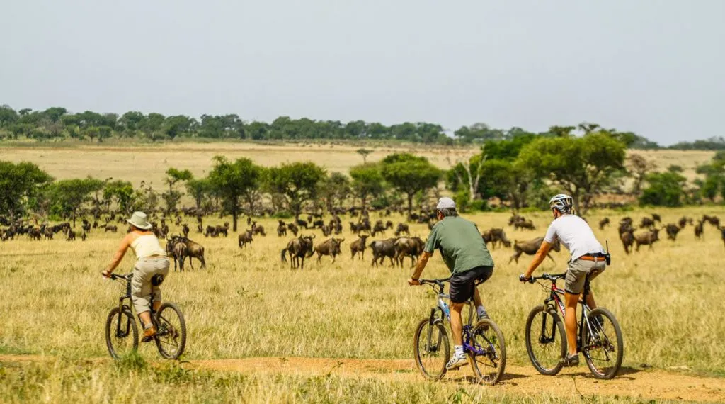 Cycling Tours